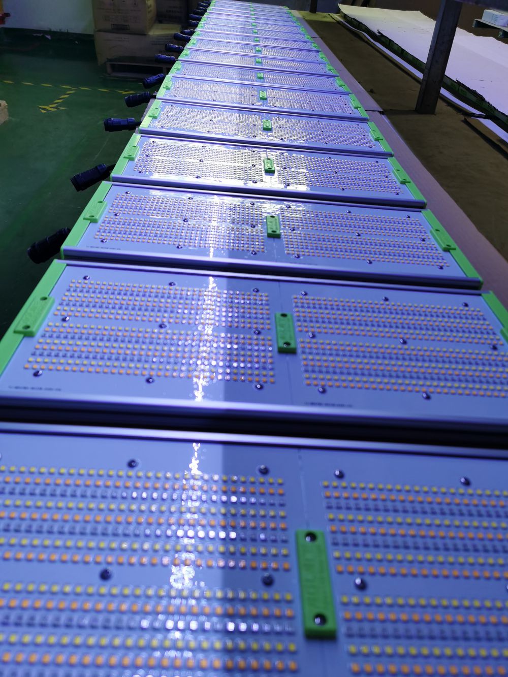 Z6尊龙凯时光电的ＳＭＤＬＥＤ用于公司自产的植物成长灯